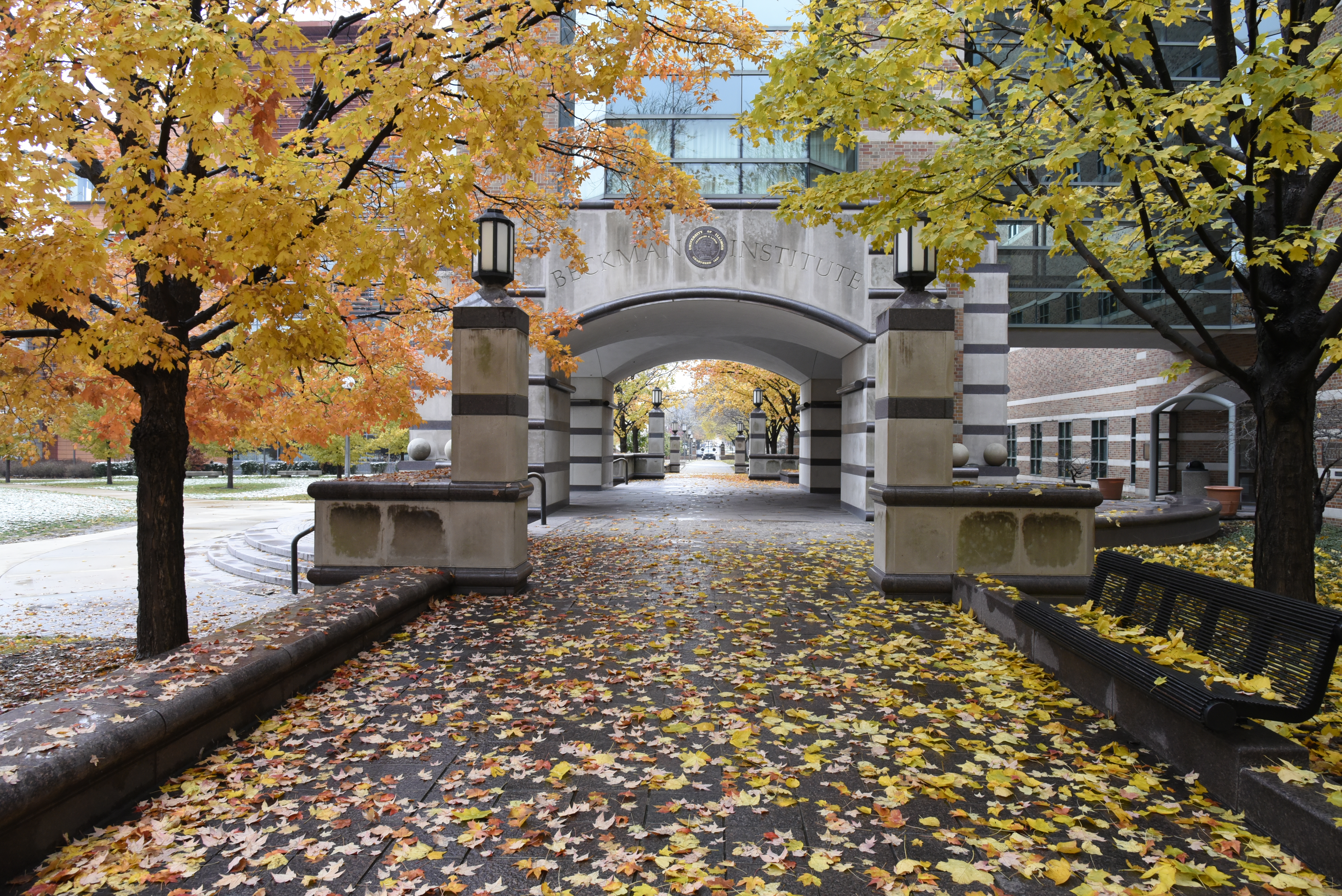 Beckman Institute outdoors brick path in fall